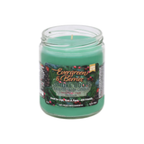 Smoke Odor Exterminator